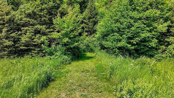 60.3 Acres of Land for Sale in Oma Town, Wisconsin