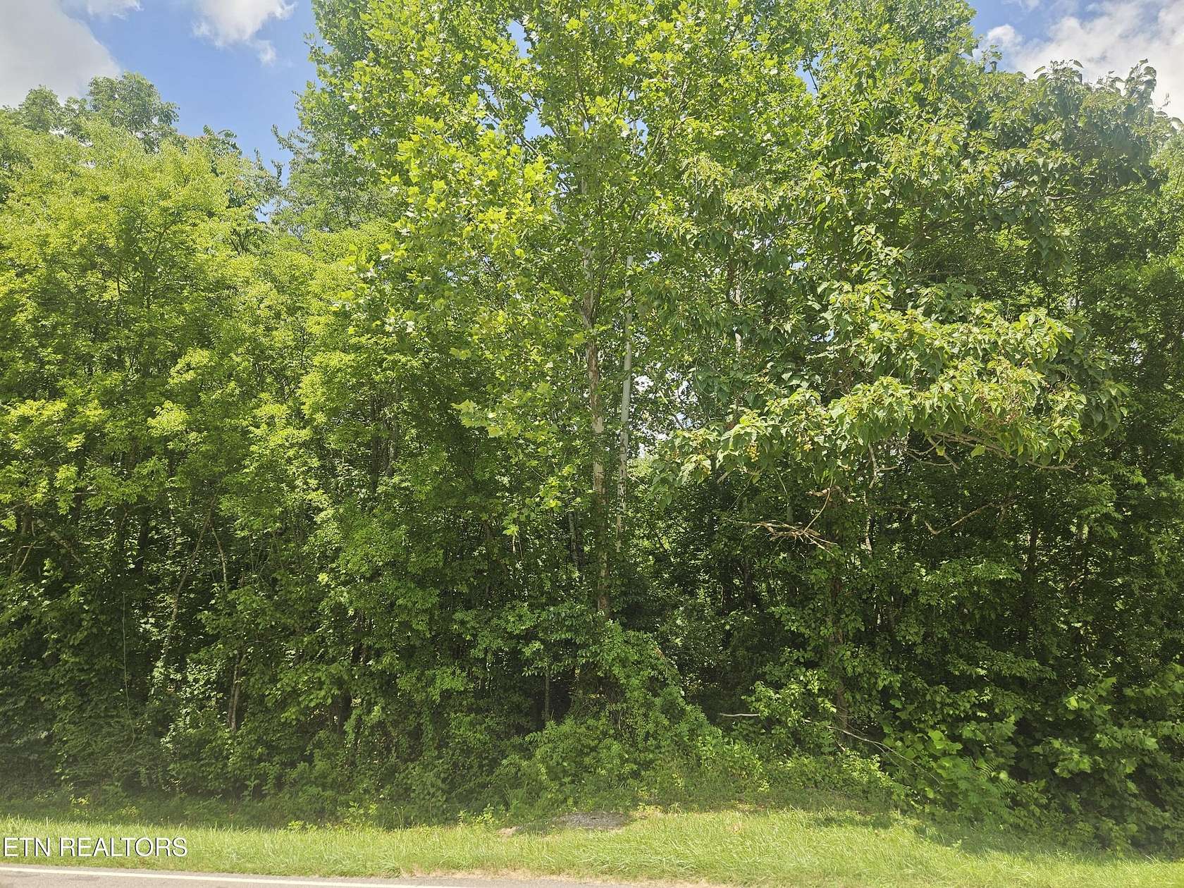 10 Acres of Residential Land for Sale in Philadelphia, Tennessee