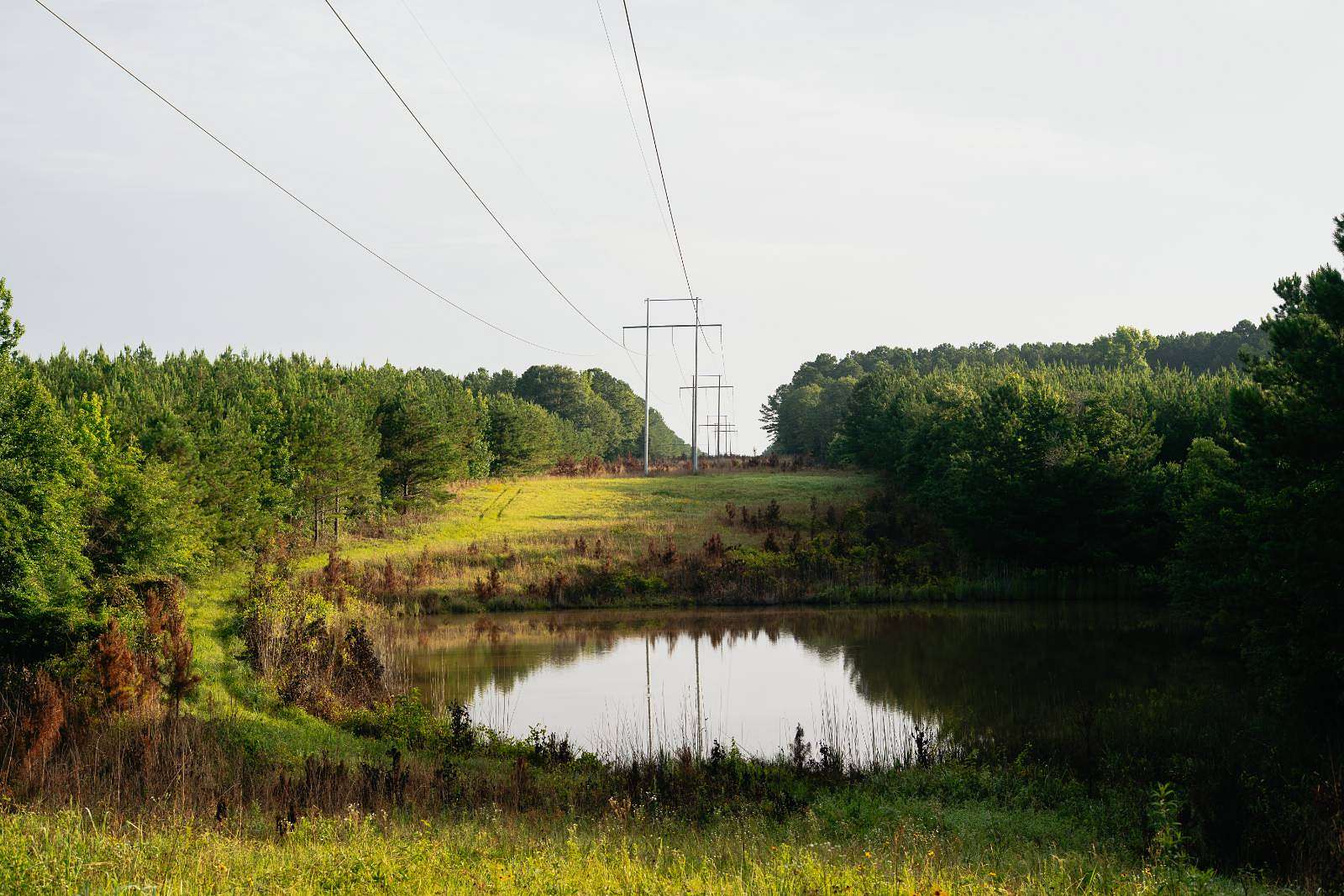 77 Acres of Recreational & Residential Land for Sale in Philadelphia, Mississippi