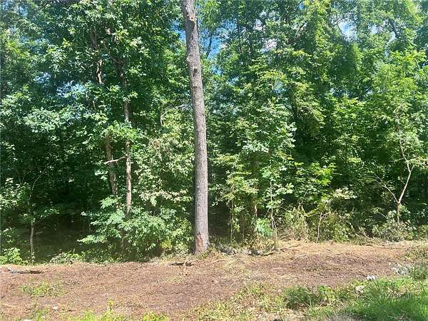 0.27 Acres of Residential Land for Sale in Bella Vista, Arkansas