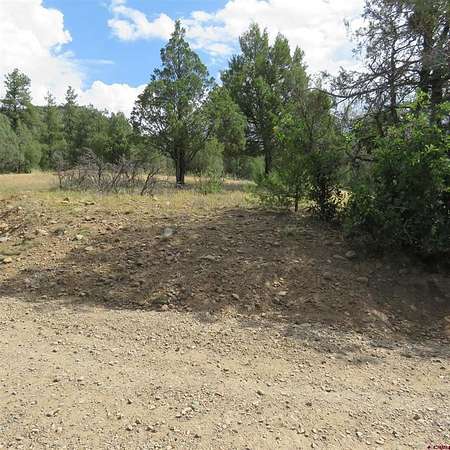 1 Acre of Land for Sale in Pagosa Springs, Colorado