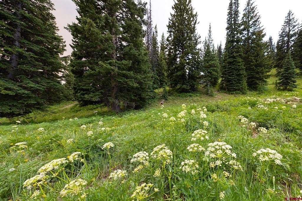 1 Acre of Land for Sale in Crested Butte, Colorado