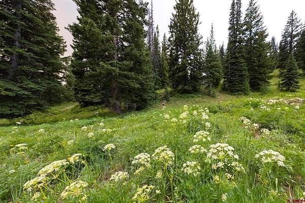 1 Acre of Land for Sale in Crested Butte, Colorado
