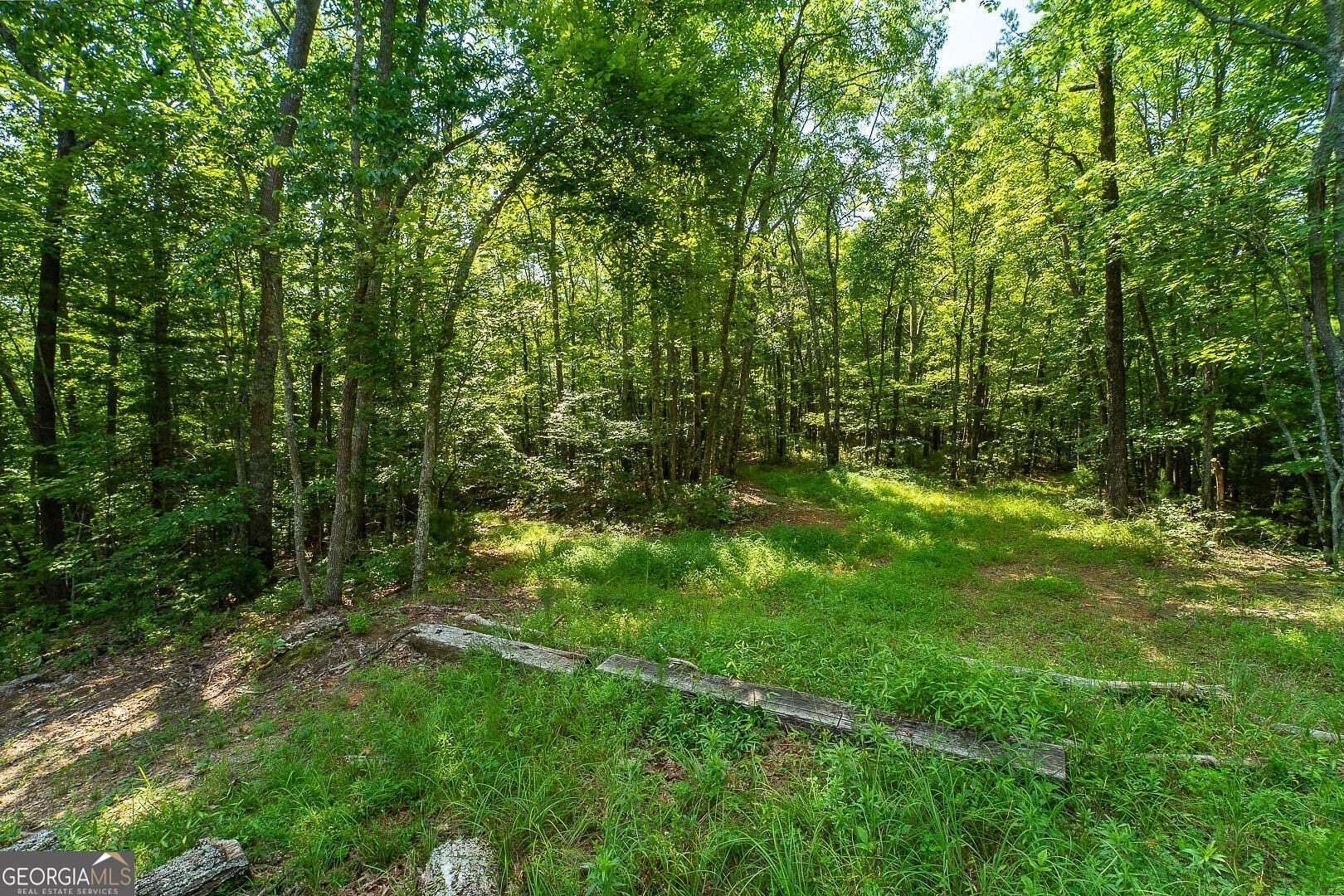 7.37 Acres of Land for Sale in Mineral Bluff, Georgia
