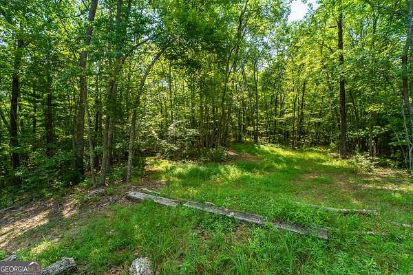 7.37 Acres of Land for Sale in Mineral Bluff, Georgia