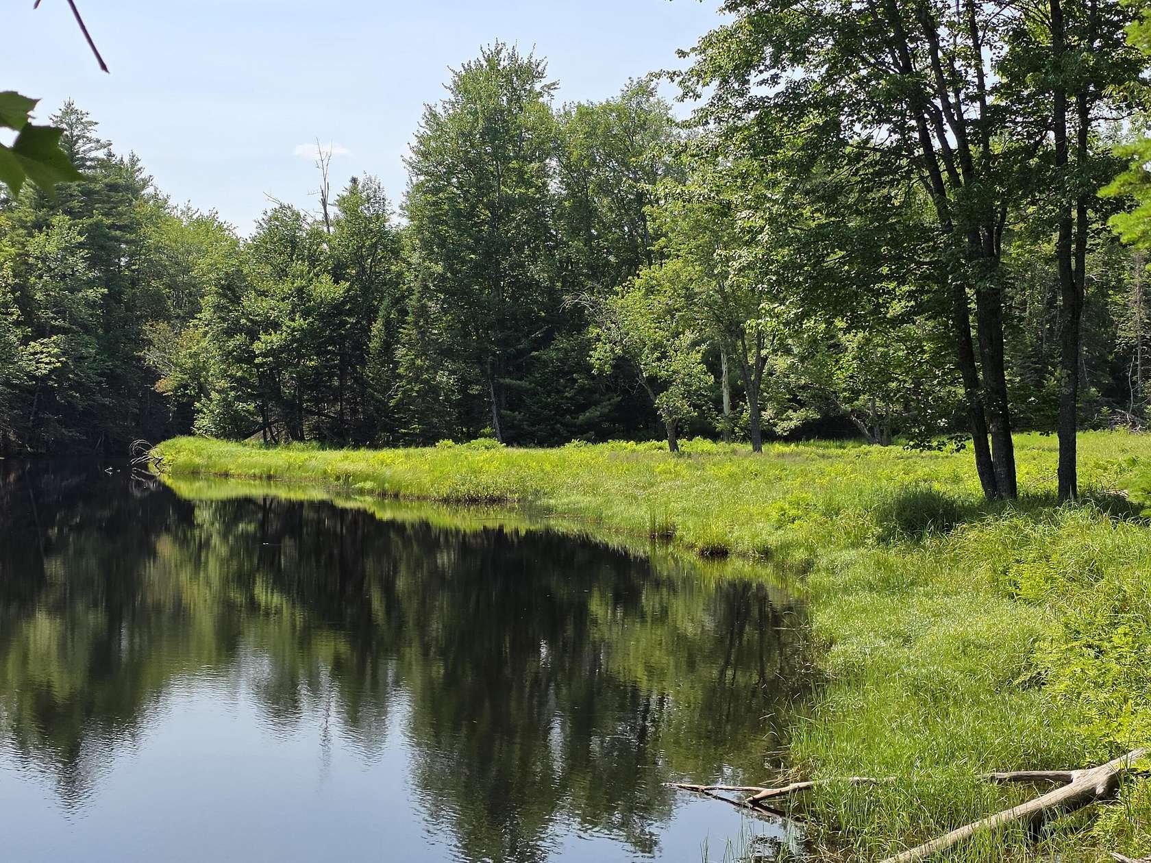 28 Acres of Recreational & Residential Land for Sale in Searsmont, Maine