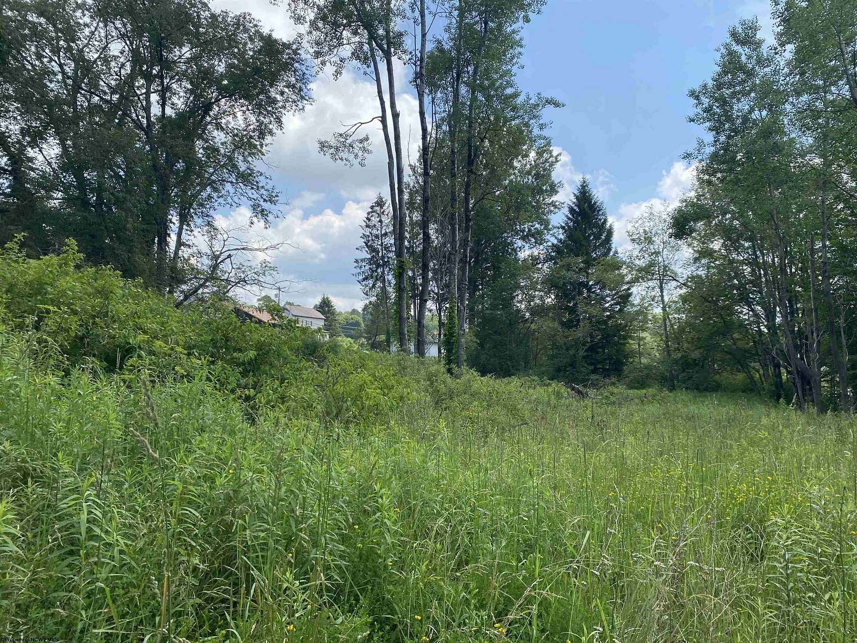 0.44 Acres of Mixed-Use Land for Sale in Thomas, West Virginia