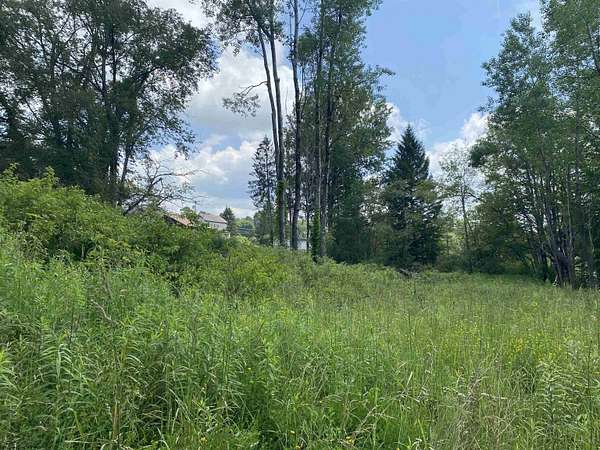 0.44 Acres of Mixed-Use Land for Sale in Thomas, West Virginia