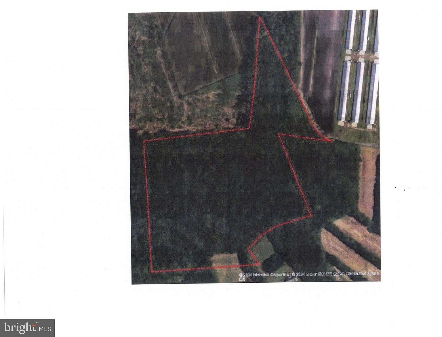 35.3 Acres of Recreational & Residential Land for Sale in Selbyville, Delaware