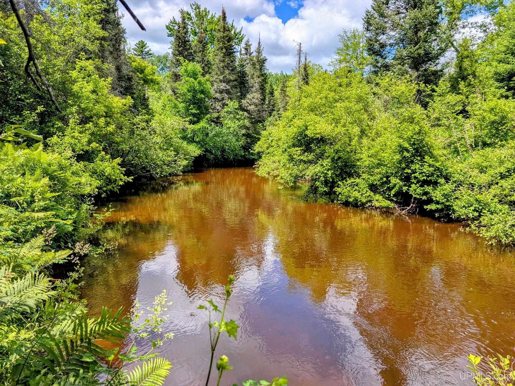 55 Acres of Recreational & Residential Land for Sale in Kenton, Michigan
