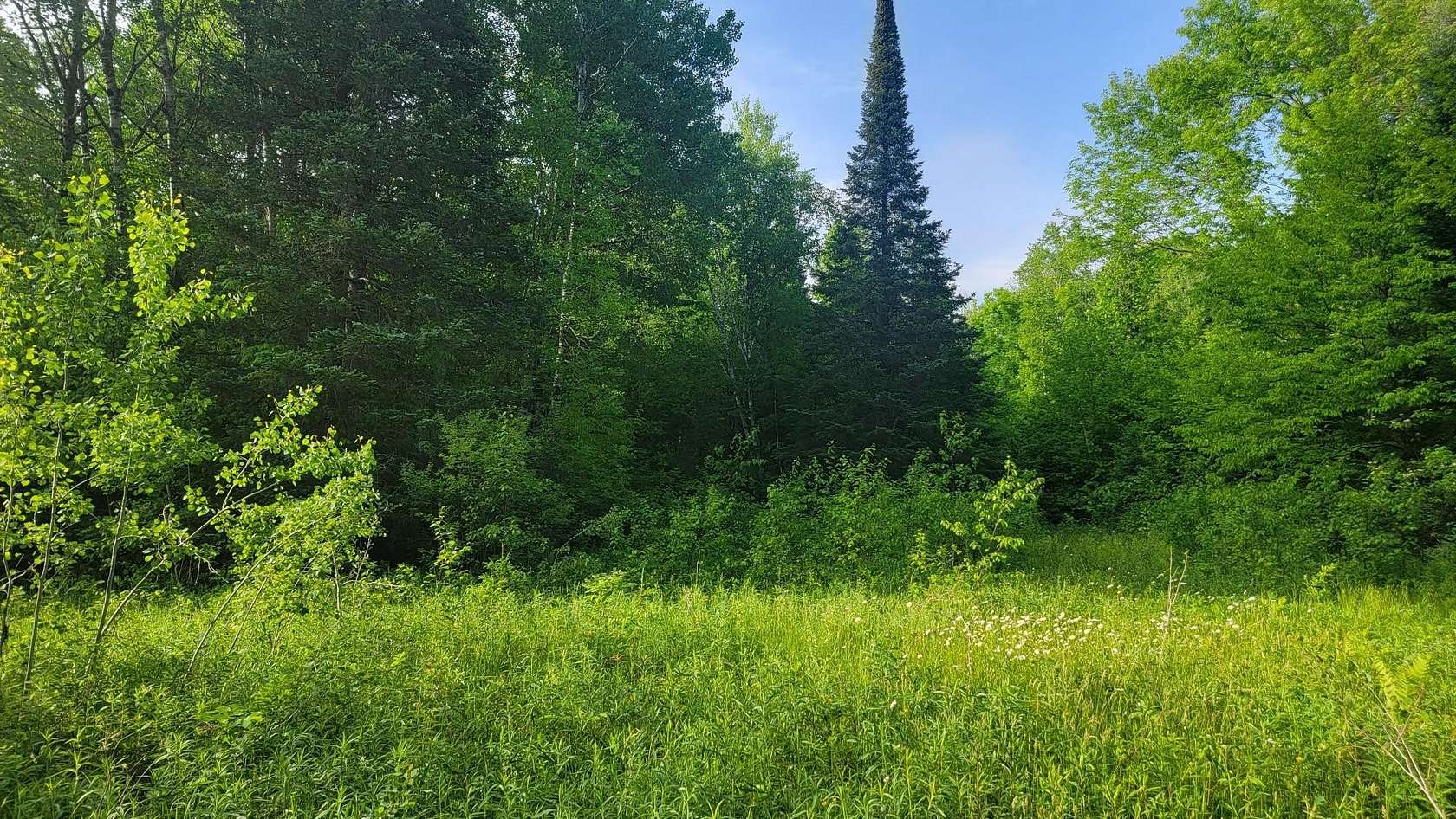 40 Acres of Recreational Land for Sale in Winter, Wisconsin