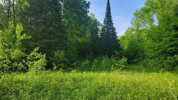 40 Acres of Recreational Land for Sale in Winter, Wisconsin