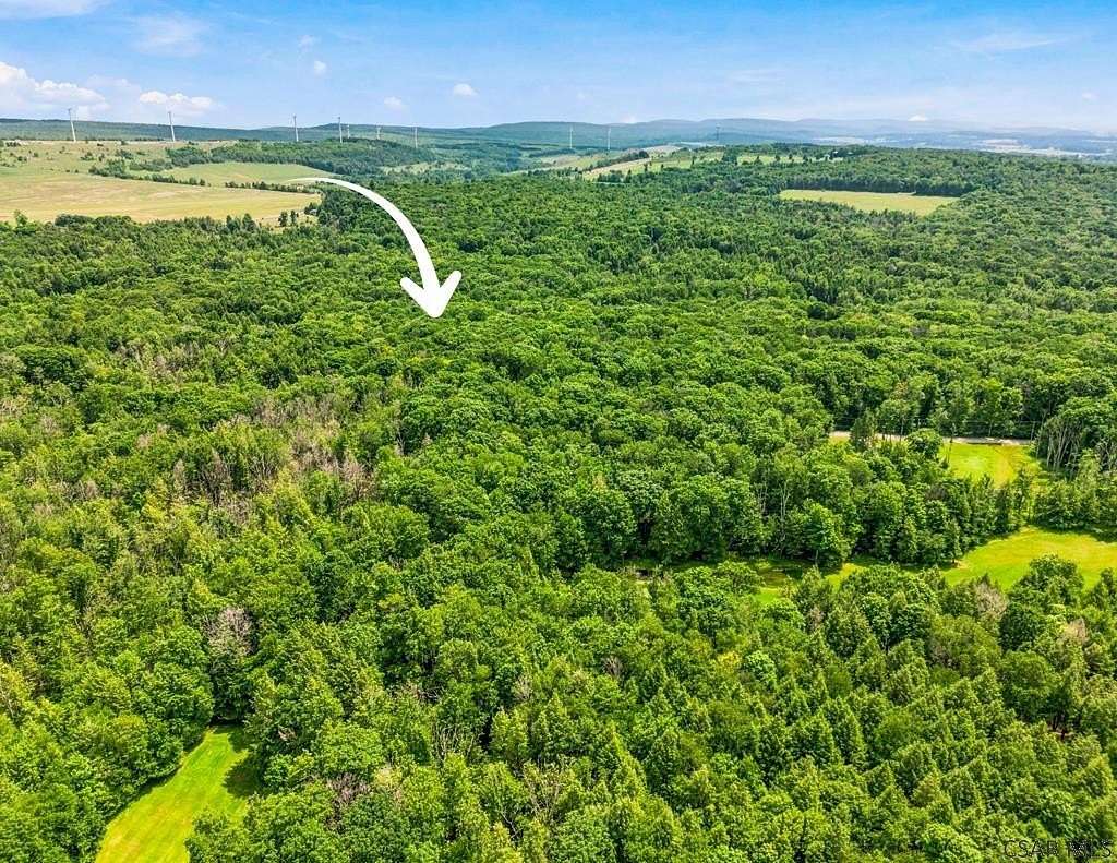 0.75 Acres of Residential Land for Sale in Central City, Pennsylvania