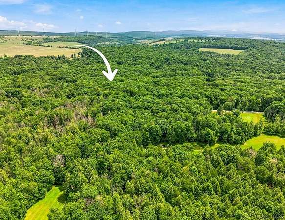 0.75 Acres of Residential Land for Sale in Central City, Pennsylvania