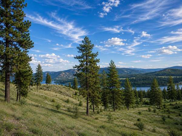 25.5 Acres of Recreational & Residential Land for Sale in Kettle Falls, Washington