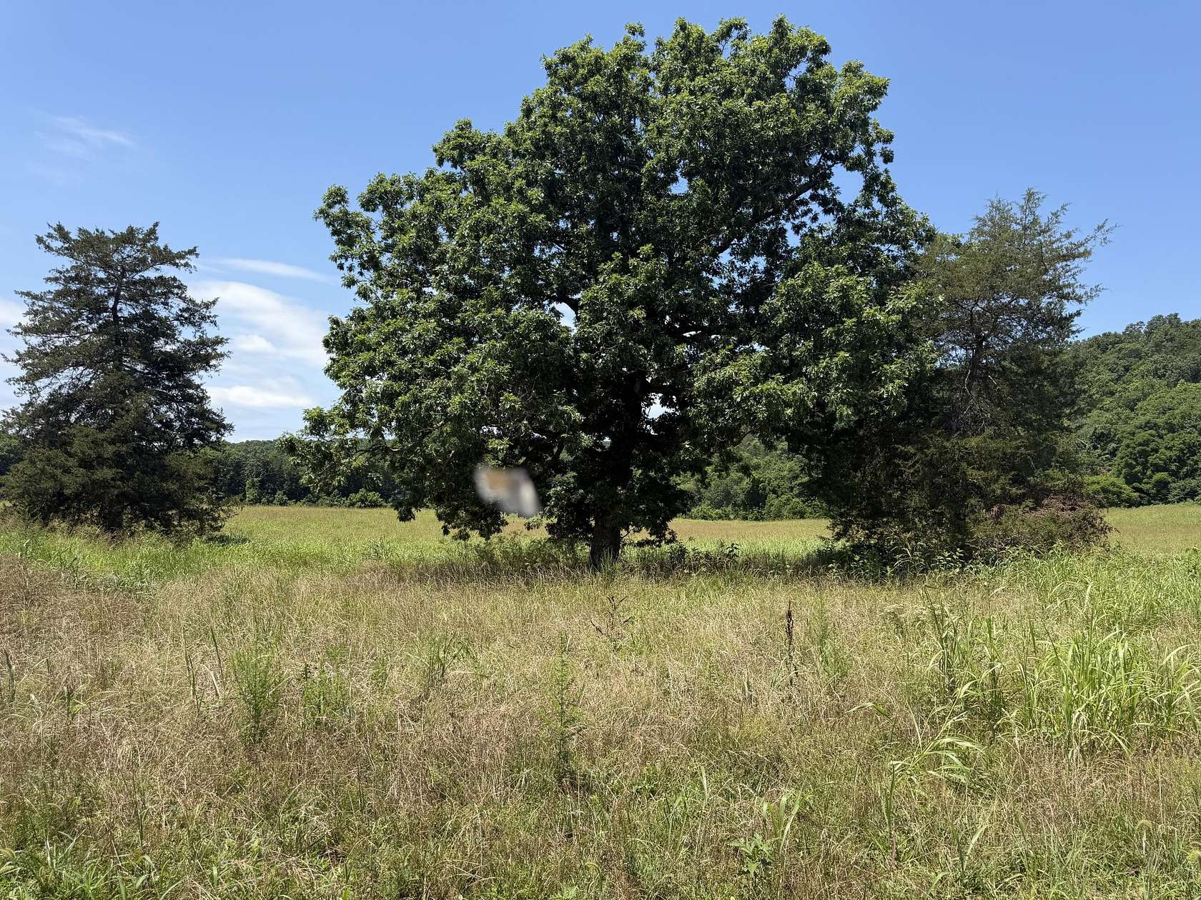 4.3 Acres of Land for Sale in Tecumseh, Missouri