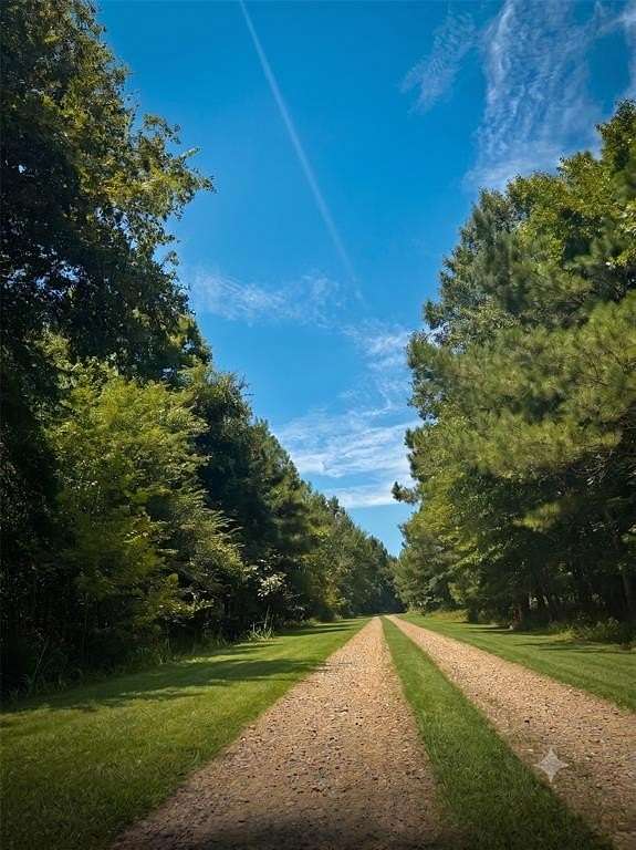 81 Acres of Land for Sale in Broken Bow, Oklahoma