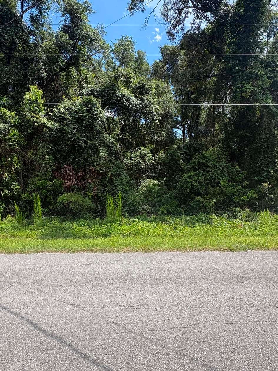 1.4 Acres of Residential Land for Sale in Trenton, Florida