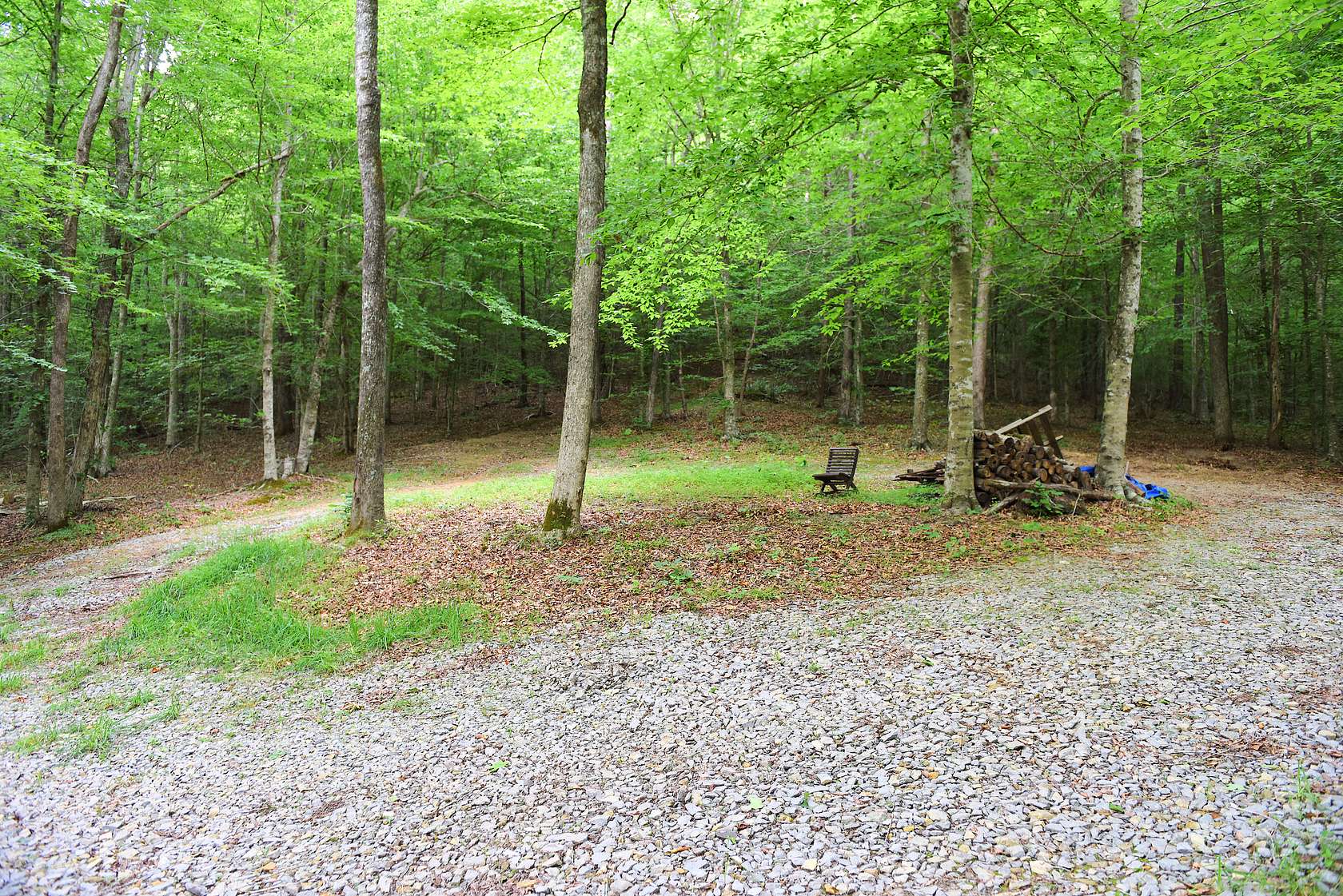 71 Acres of Land for Sale in Edmonton, Kentucky