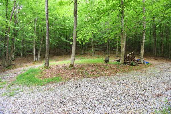 71 Acres of Land for Sale in Edmonton, Kentucky