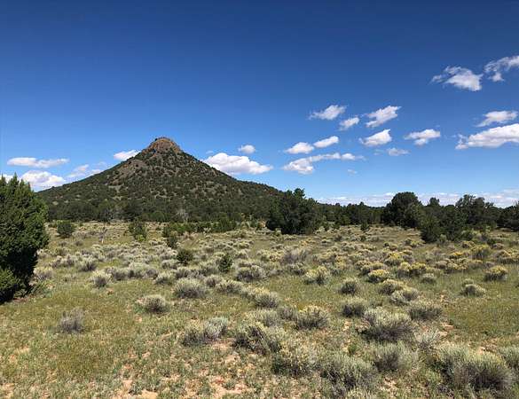 45 Acres of Recreational Land for Sale in Fence Lake, New Mexico