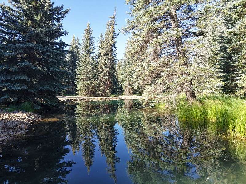 20 Acres of Recreational & Residential Land for Sale in Bayfield, Colorado