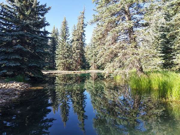 20 Acres of Recreational & Residential Land for Sale in Bayfield, Colorado