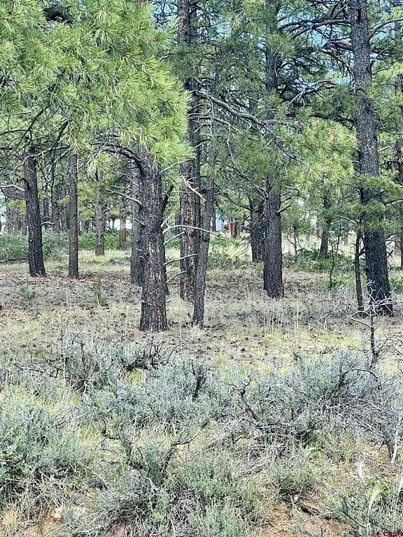 1 Acre of Residential Land for Sale in Pagosa Springs, Colorado