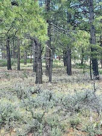 1 Acre of Residential Land for Sale in Pagosa Springs, Colorado