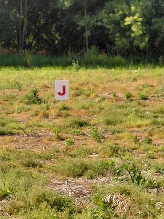 6.42 Acres of Residential Land for Sale in Jackson, Michigan