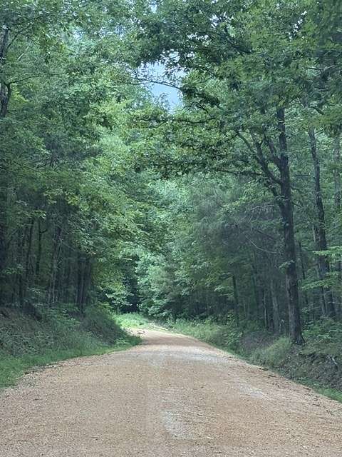24.8 Acres of Land for Sale in Sugar Tree, Tennessee