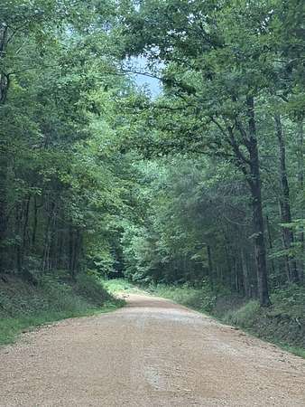 24.8 Acres of Land for Sale in Sugar Tree, Tennessee