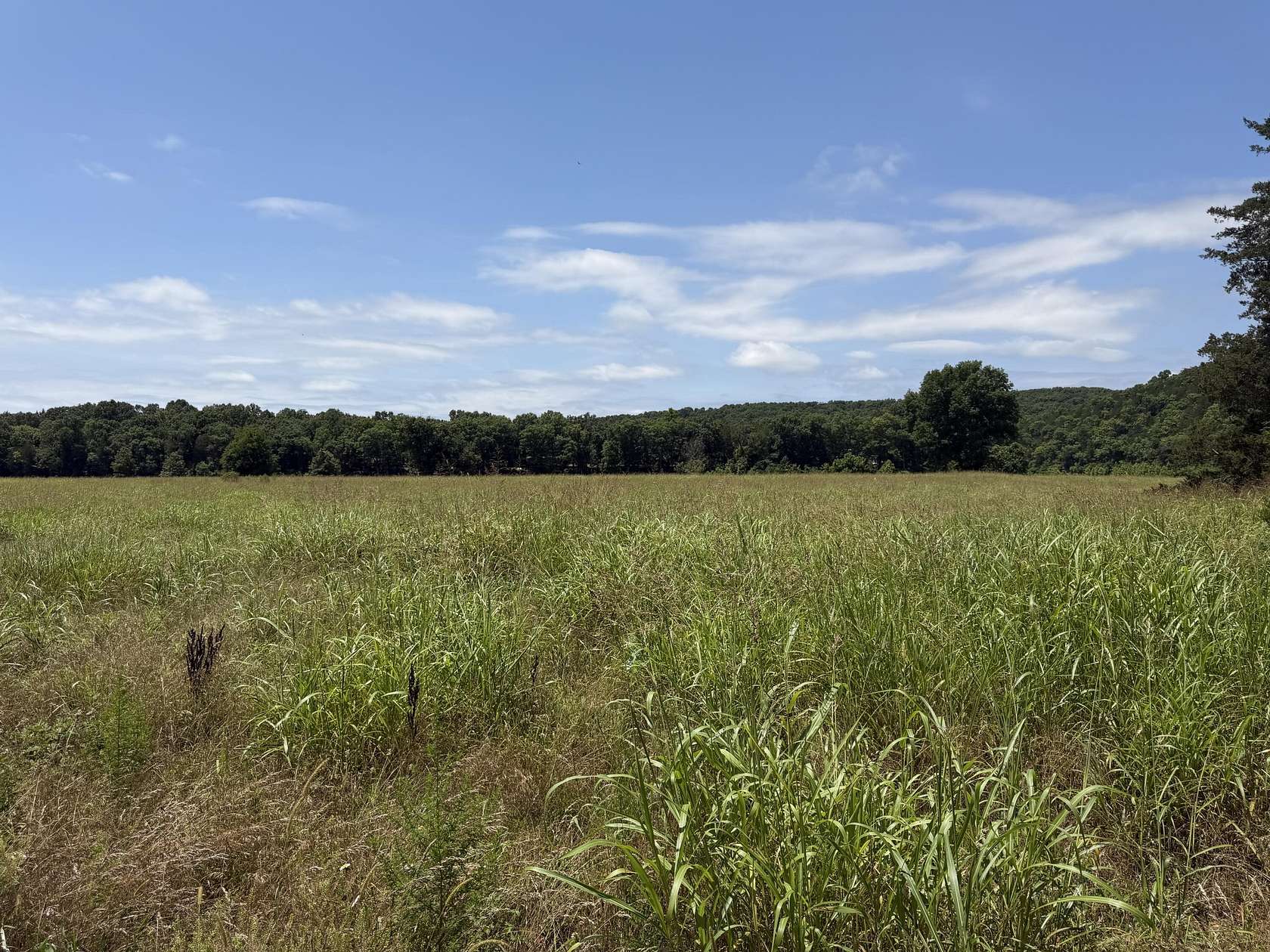 5 Acres of Land for Sale in Tecumseh, Missouri