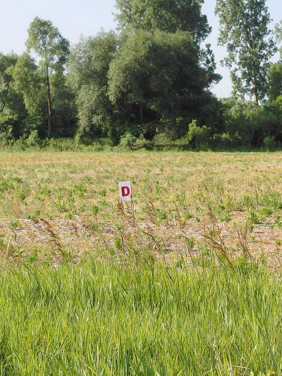 1.65 Acres of Residential Land for Sale in Jackson, Michigan