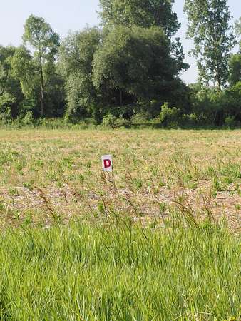 1.65 Acres of Residential Land for Sale in Jackson, Michigan