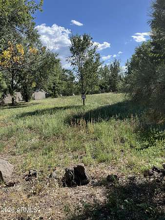 0.26 Acres of Residential Land for Sale in Pinetop-Lakeside, Arizona