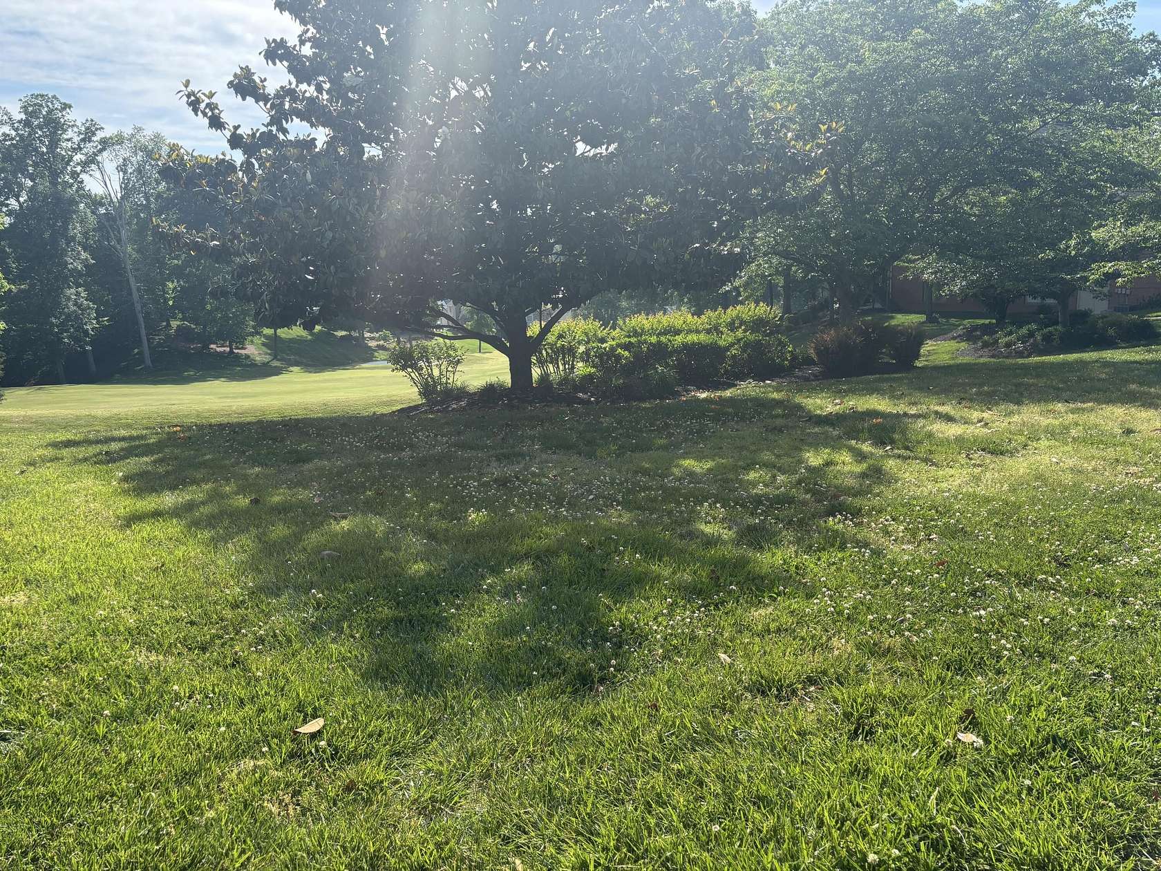 0.51 Acres of Residential Land for Sale in Lenoir City, Tennessee