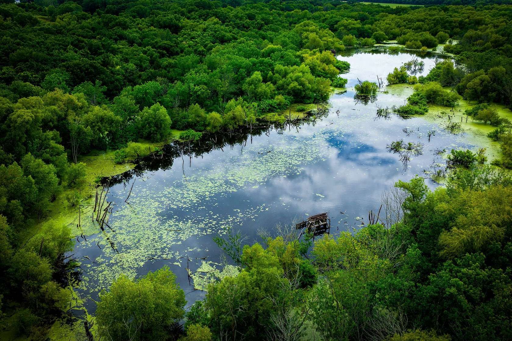 65 Acres of Recreational Land for Sale in Ferris, Texas