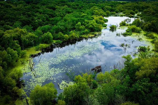 65 Acres of Recreational Land for Sale in Ferris, Texas
