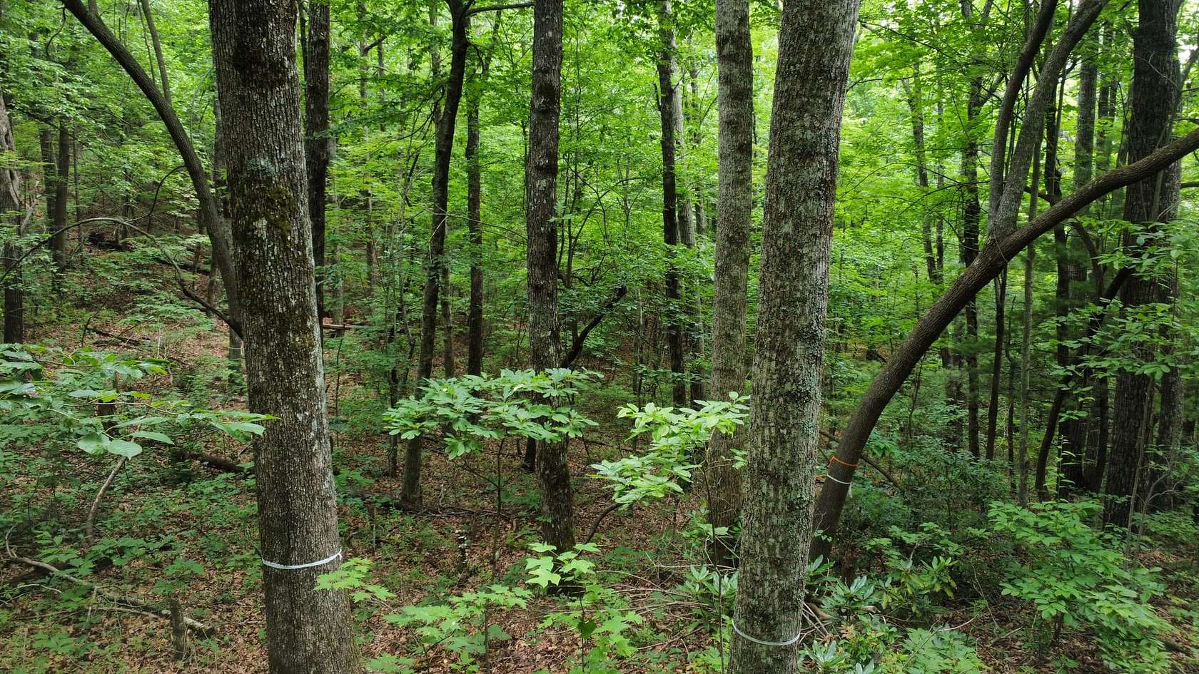 0.63 Acres of Residential Land for Sale in Zirconia, North Carolina
