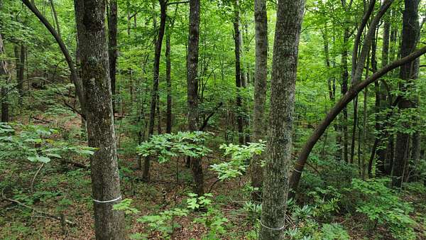 0.63 Acres of Residential Land for Sale in Zirconia, North Carolina