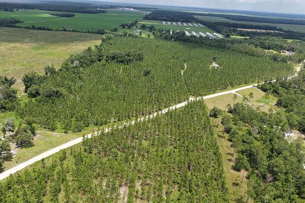 56.9 Acres of Agricultural Land for Sale in Lee, Florida