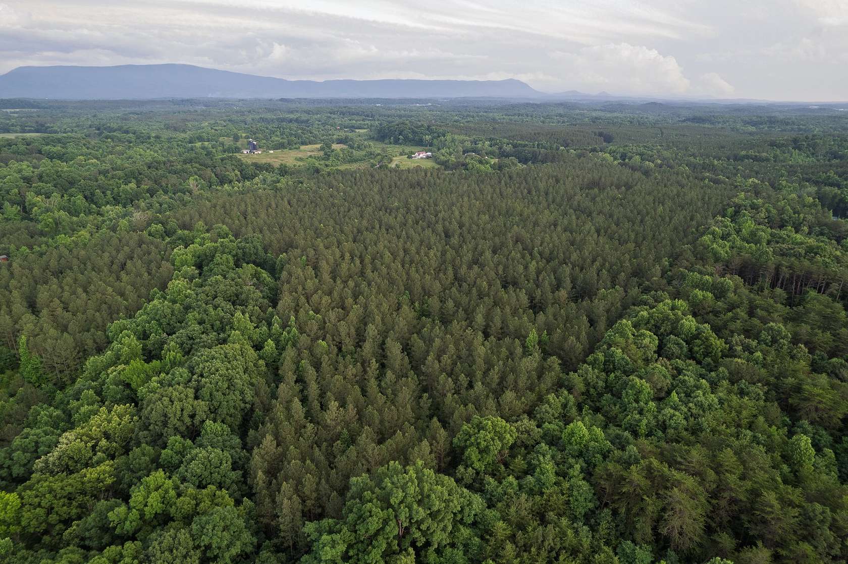 54 Acres of Recreational & Residential Land for Sale in Calhoun, Tennessee