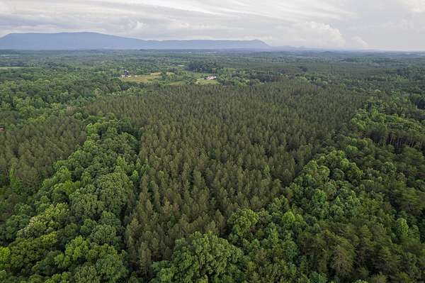 54 Acres of Recreational & Residential Land for Sale in Calhoun, Tennessee
