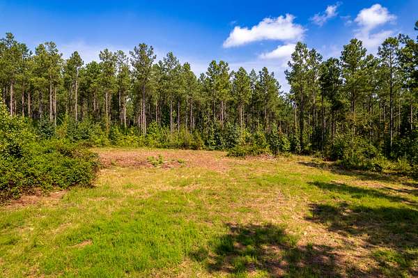 54 Acres of Recreational & Residential Land for Sale in Calhoun, Tennessee
