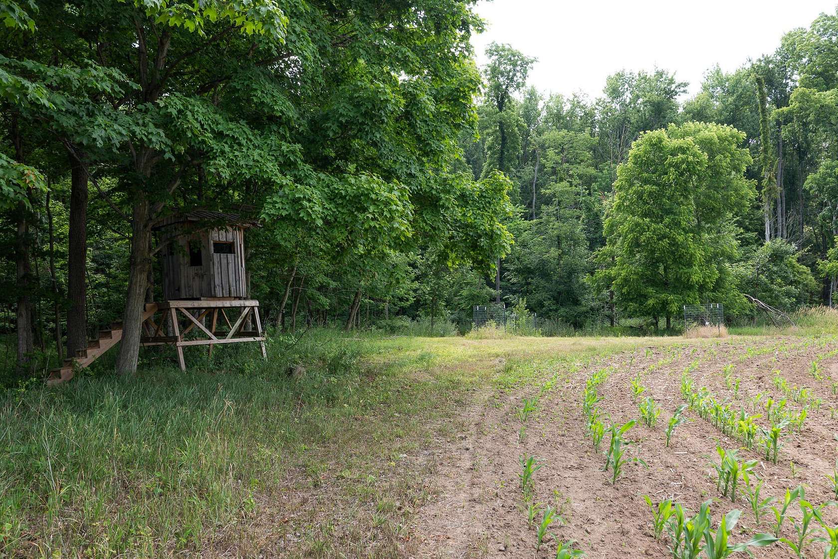 32 Acres of Land for Sale in North Adams, Michigan