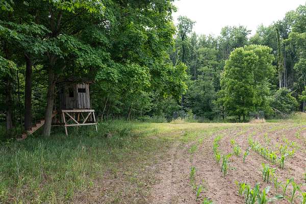32 Acres of Land for Sale in North Adams, Michigan