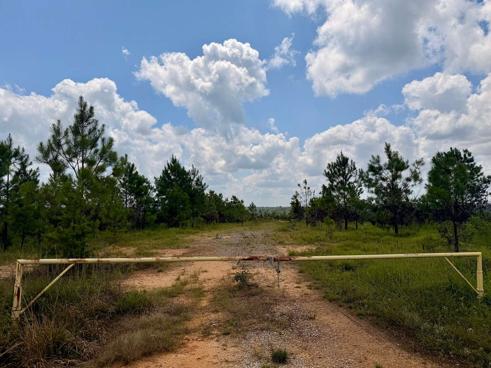 99 Acres of Recreational & Residential Land for Sale in Vernon, Alabama
