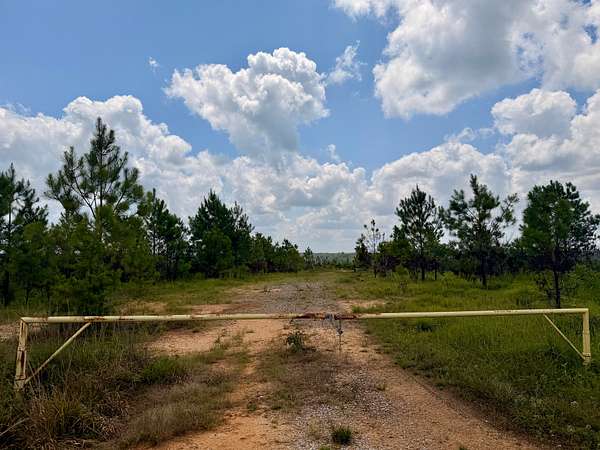 99 Acres of Recreational & Residential Land for Sale in Vernon, Alabama