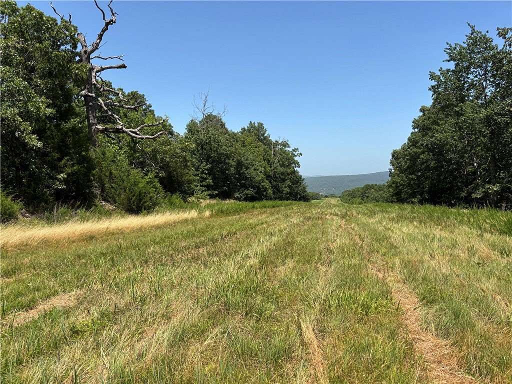 119 Acres of Recreational Land for Sale in Huntsville, Arkansas